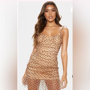 PLT Nude Polka Dot Mesh Frill Bodycon Dress